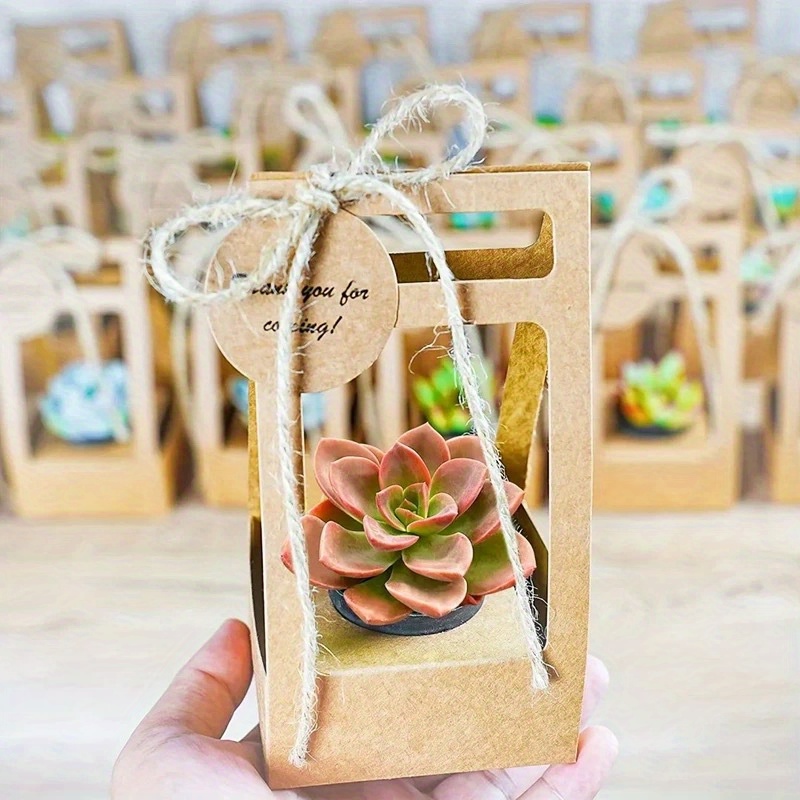 10Set Succulent Wrap Gift Bags – Flower Wrap Kraft recenzja i cena