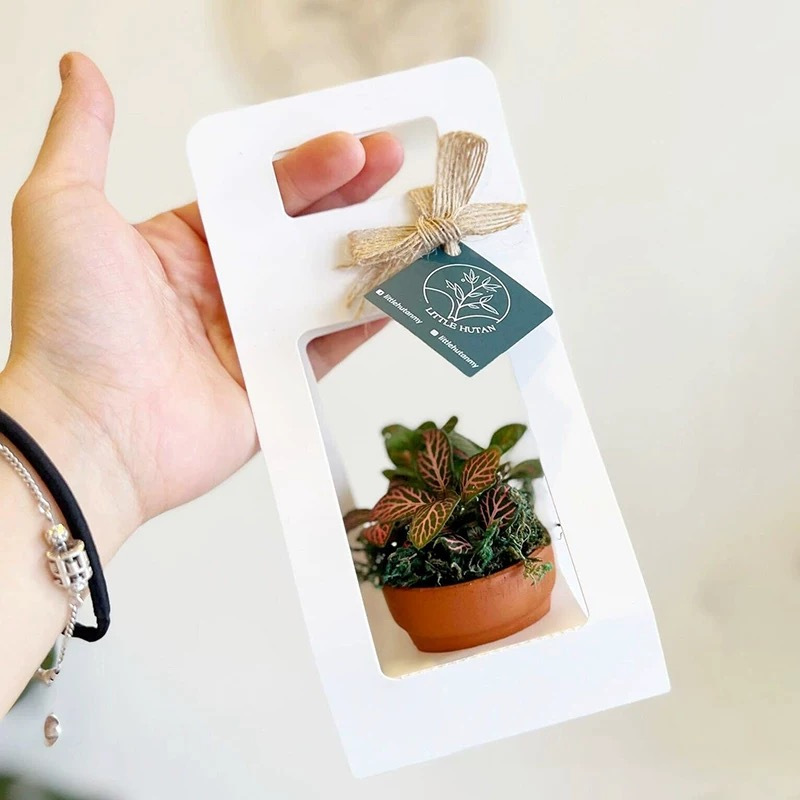 10Set Succulent Wrap Gift Bags – Flower Wrap Kraft recenzja i cena