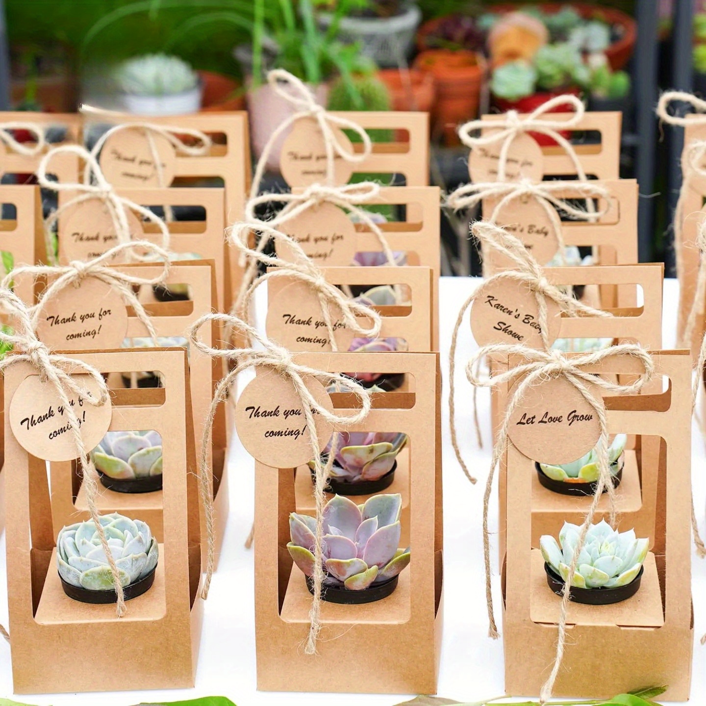 10Set Succulent Wrap Gift Bags – Flower Wrap Kraft recenzja i cena