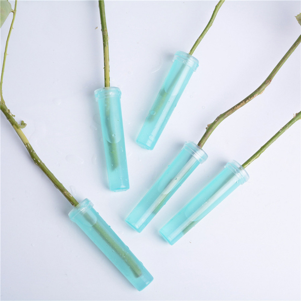 20Pcs Flower Shop Supplies Flo – Florist Supply Shop recenzja i cena